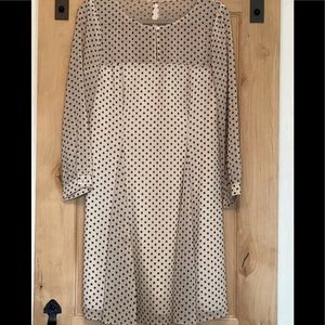 J. Crew tan lined With black little nubby’s (like Swiss dot)